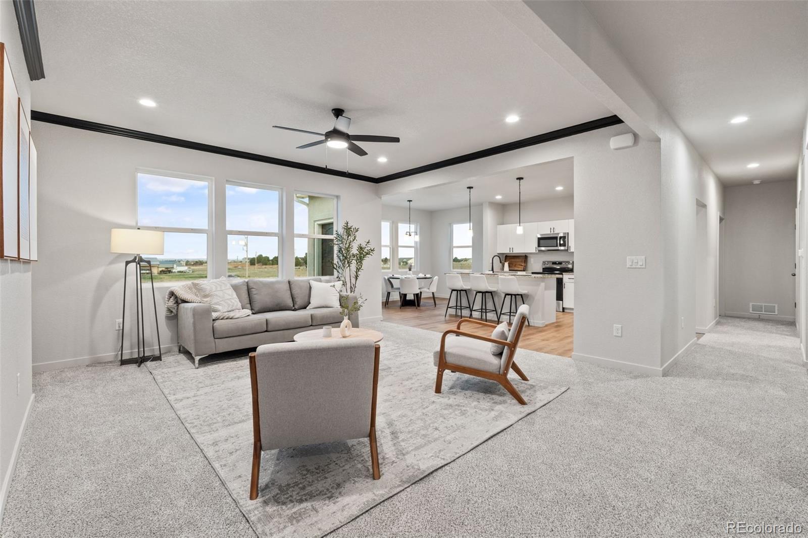 MLS Image #7 for 1258 n kirkwood drive,pueblo west, Colorado