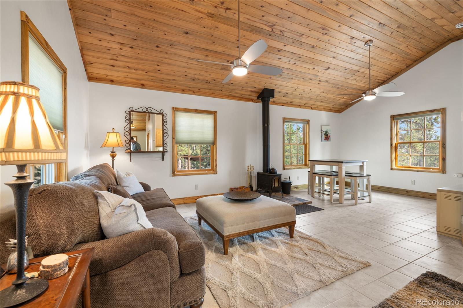 MLS Image #10 for 389  mount elbert drive,twin lakes, Colorado