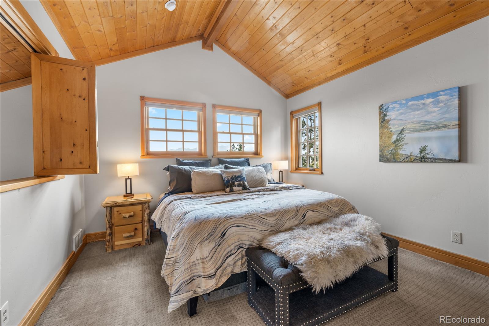 MLS Image #14 for 389  mount elbert drive,twin lakes, Colorado
