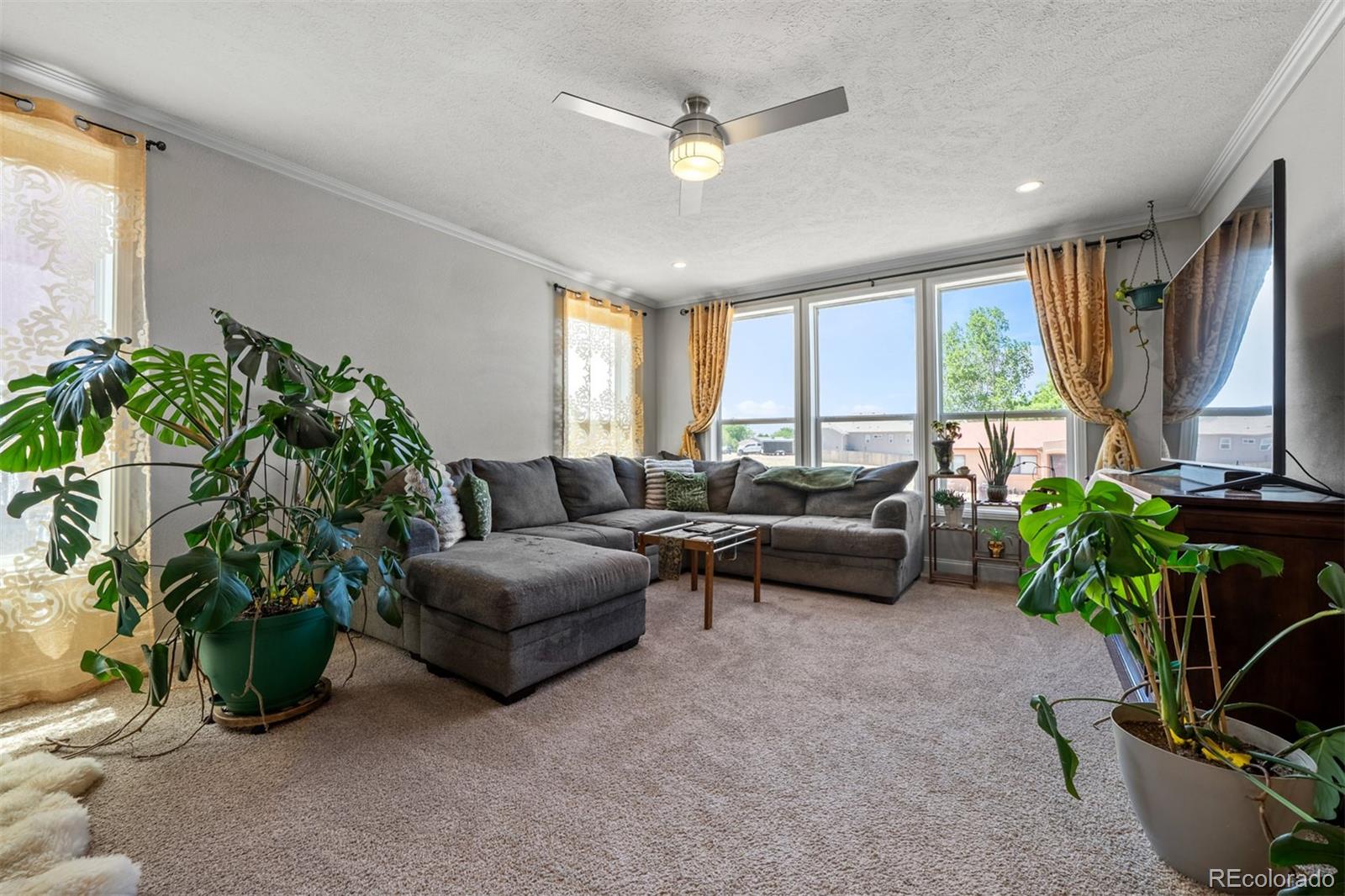 MLS Image #5 for 279 w acorn drive,pueblo west, Colorado