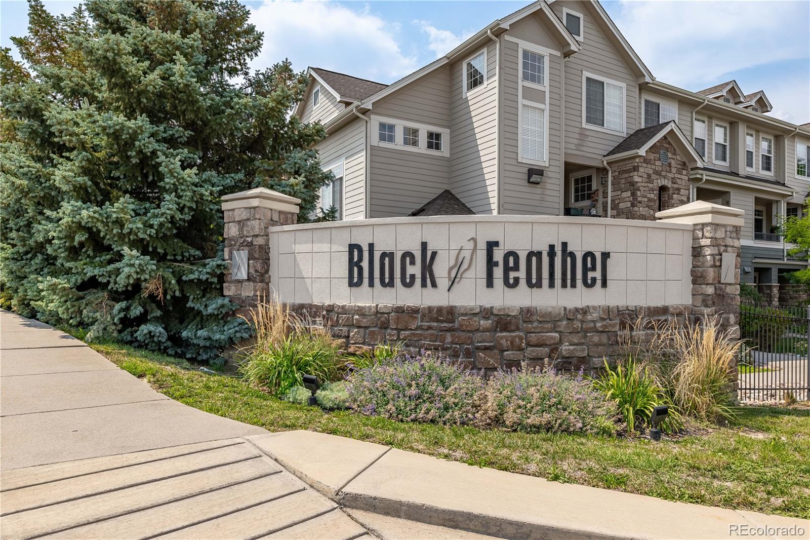 MLS Image #20 for 431  black feather loop 811,castle rock, Colorado