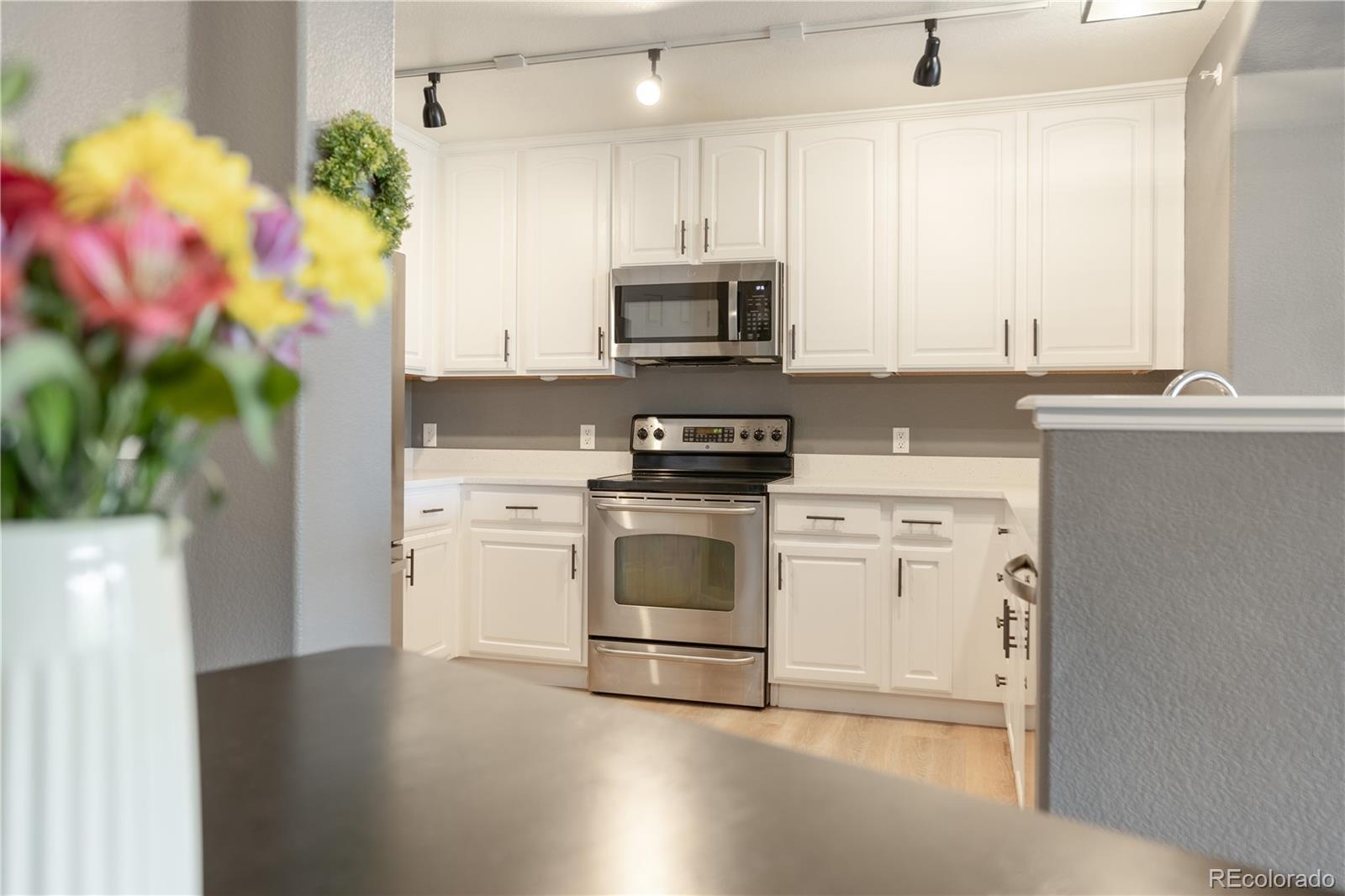 MLS Image #3 for 431  black feather loop 811,castle rock, Colorado