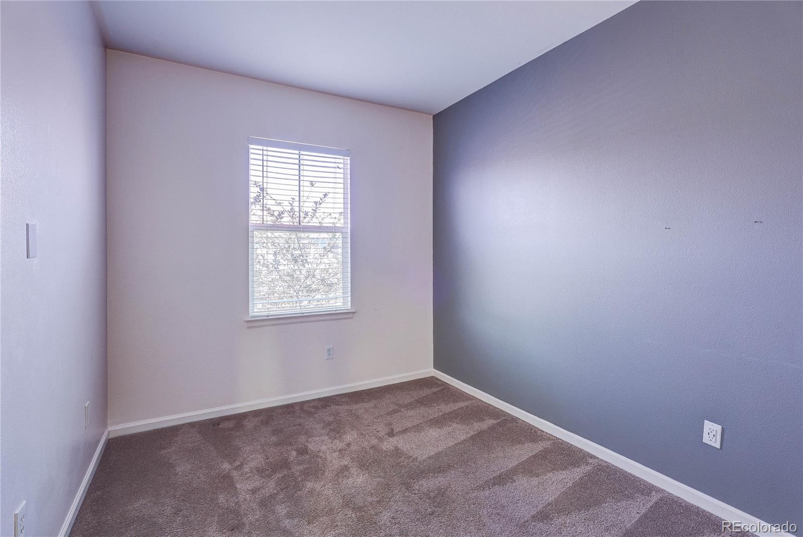 MLS Image #20 for 2723  roslyn street ,denver, Colorado