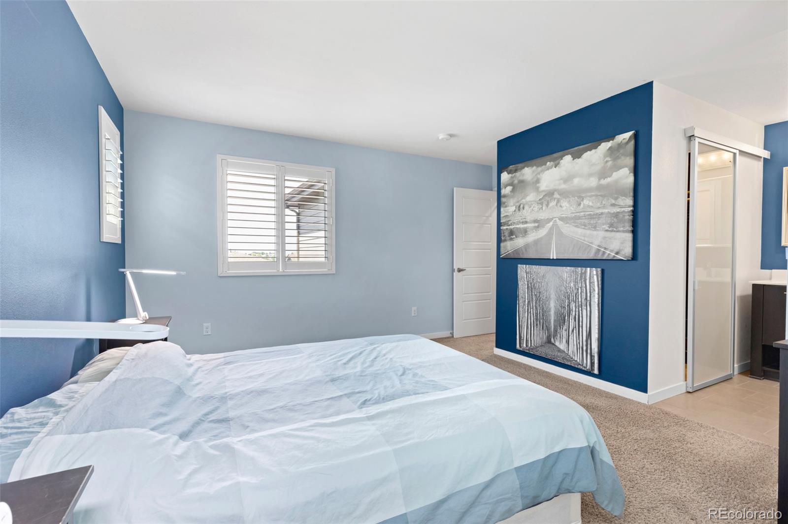 MLS Image #22 for 3332  cranston circle,highlands ranch, Colorado