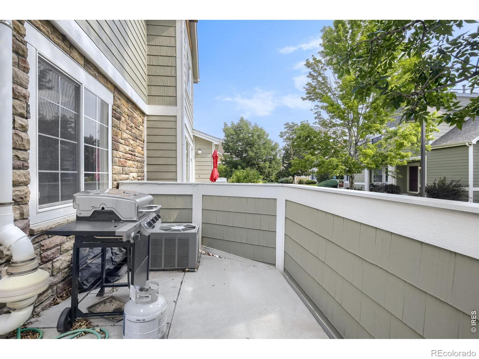 MLS Image #10 for 805  summer hawk drive,longmont, Colorado