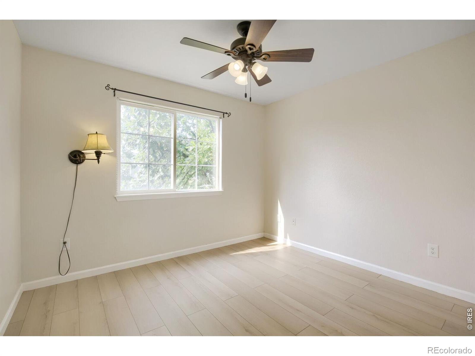 MLS Image #14 for 805  summer hawk drive,longmont, Colorado