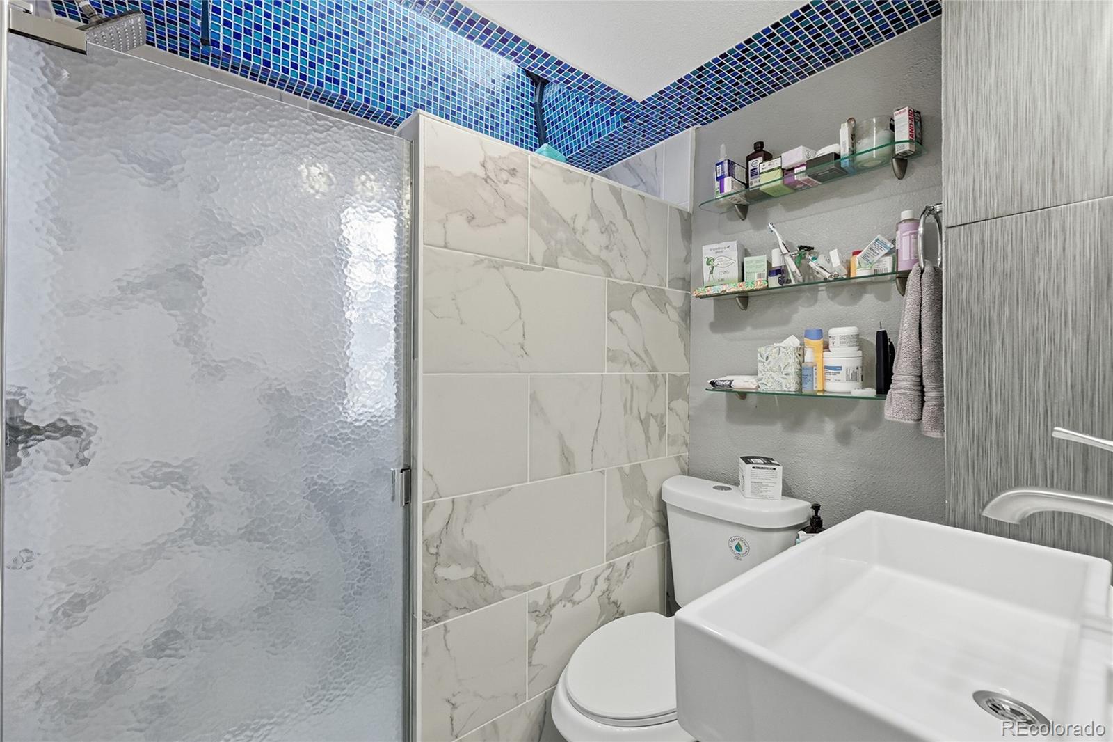 MLS Image #6 for 3460 s canosa court,englewood, Colorado
