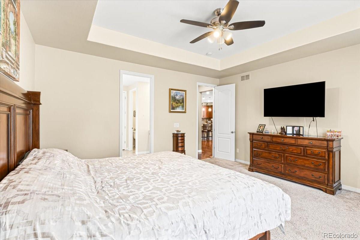 MLS Image #14 for 8935  snowball way,parker, Colorado