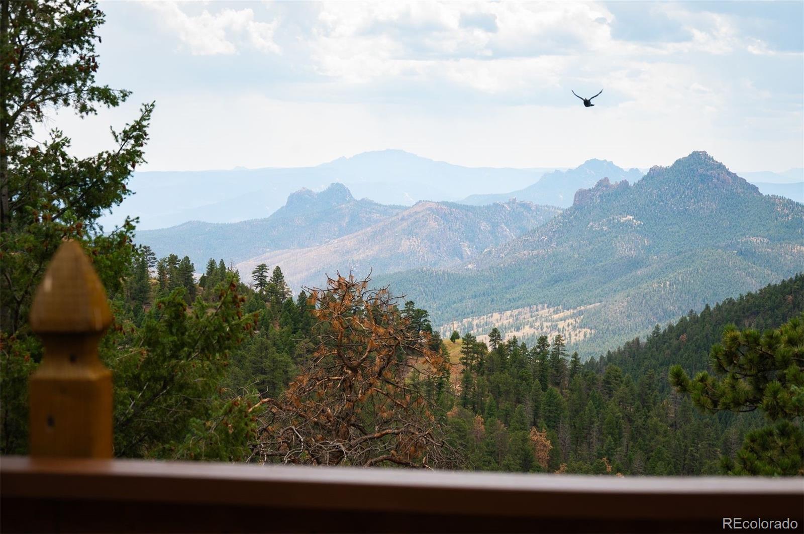 MLS Image #2 for 13535  shiloh road,conifer, Colorado