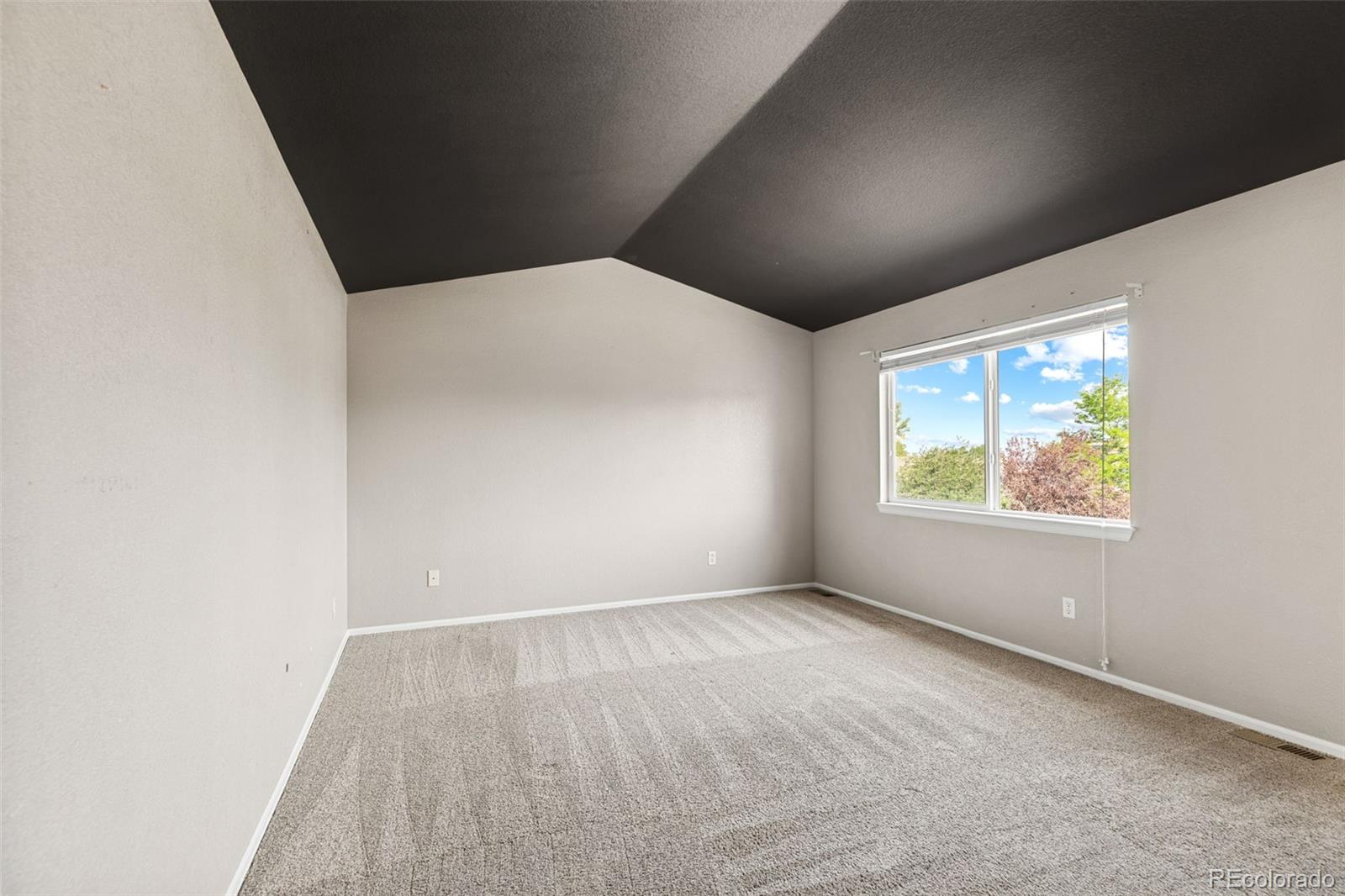 MLS Image #22 for 22803 e progress avenue,aurora, Colorado