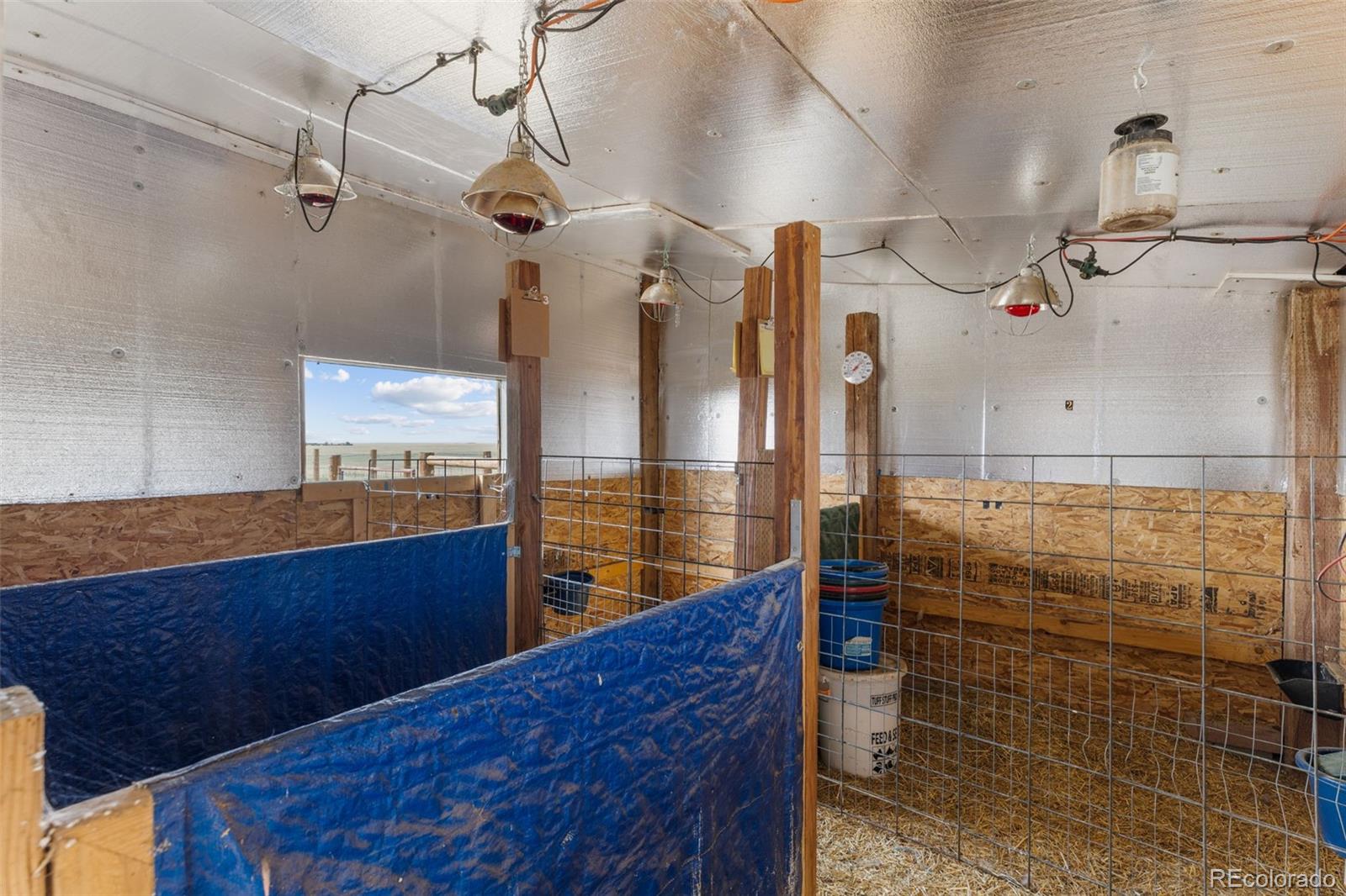 MLS Image #28 for 49925  county road 75 ,briggsdale, Colorado
