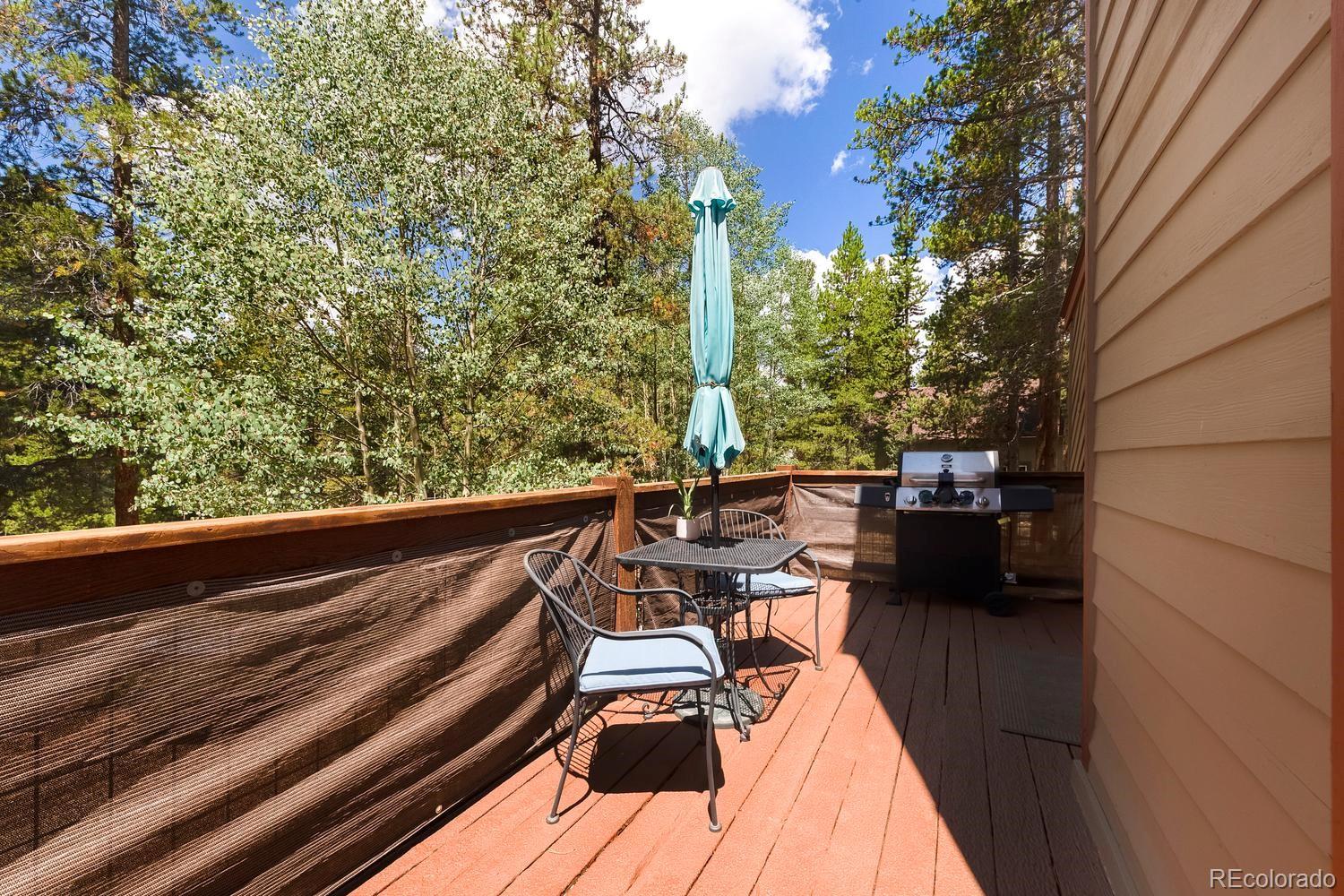 MLS Image #28 for 1820  prospector drive,leadville, Colorado