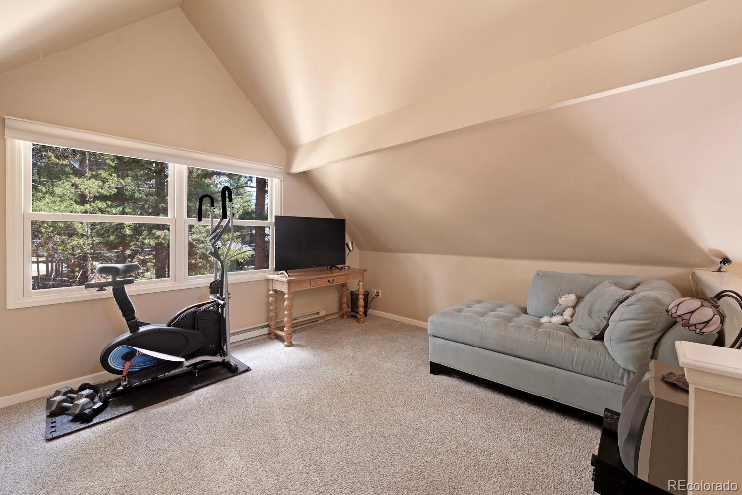 MLS Image #36 for 1820  prospector drive,leadville, Colorado