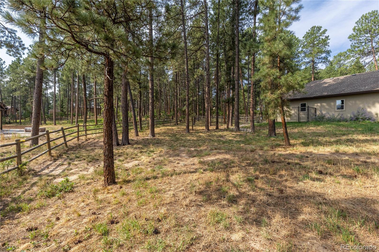 MLS Image #44 for 1395  gore circle,larkspur, Colorado