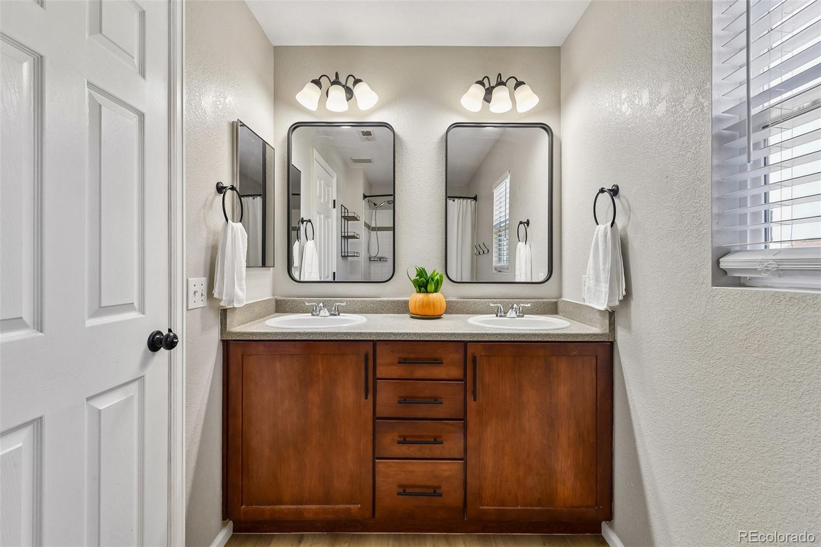 MLS Image #12 for 6052  wescroft avenue,castle rock, Colorado