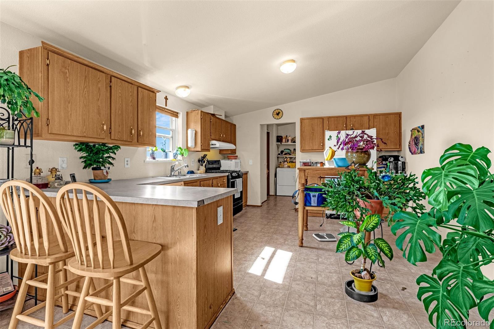 MLS Image #17 for 1528  county road 1 ,cripple creek, Colorado