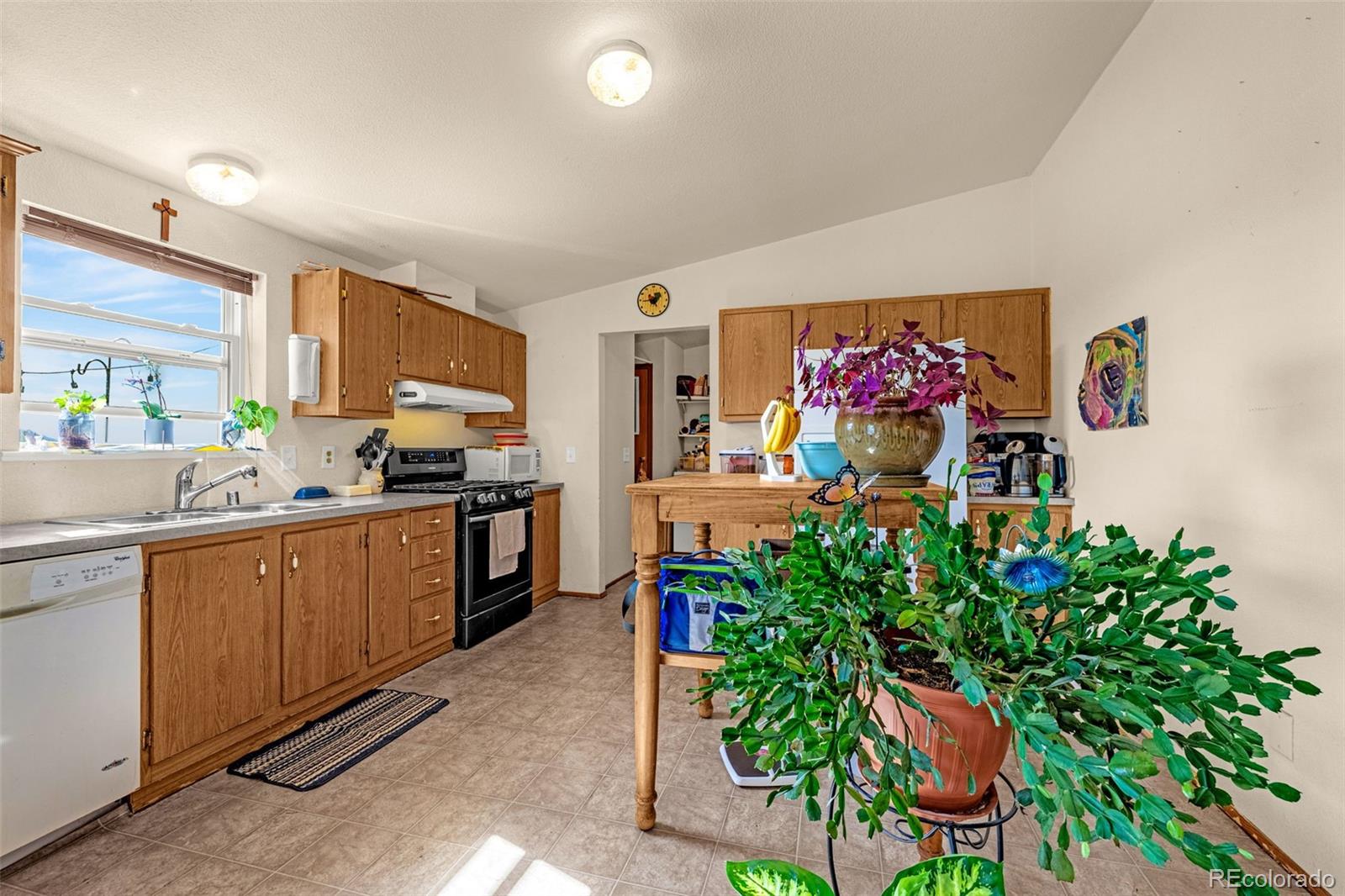 MLS Image #18 for 1528  county road 1 ,cripple creek, Colorado