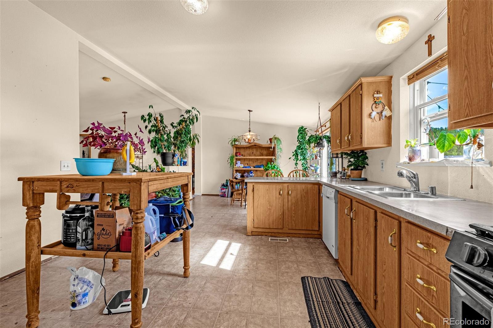 MLS Image #19 for 1528  county road 1 ,cripple creek, Colorado