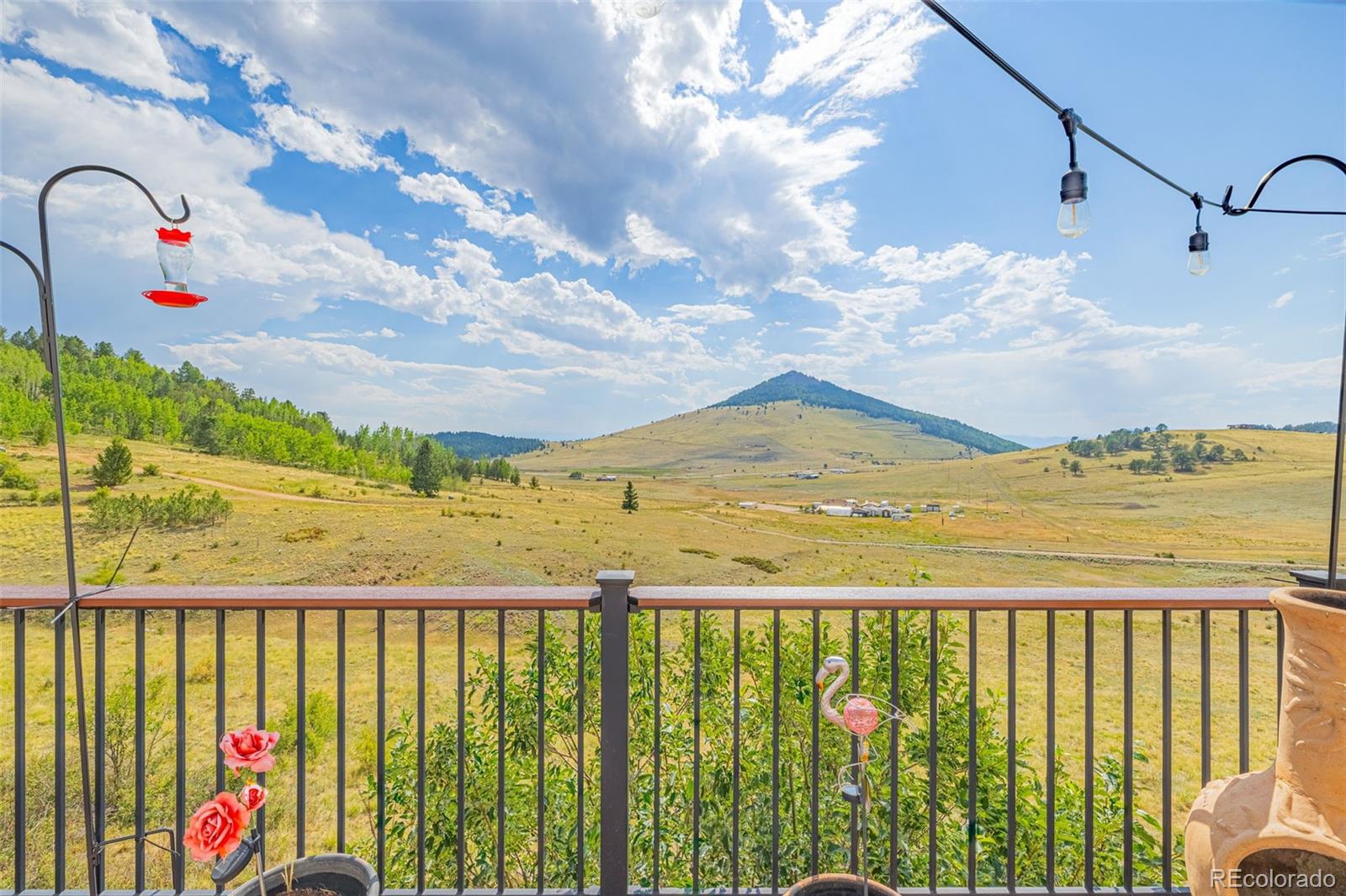 MLS Image #2 for 1528  county road 1 ,cripple creek, Colorado