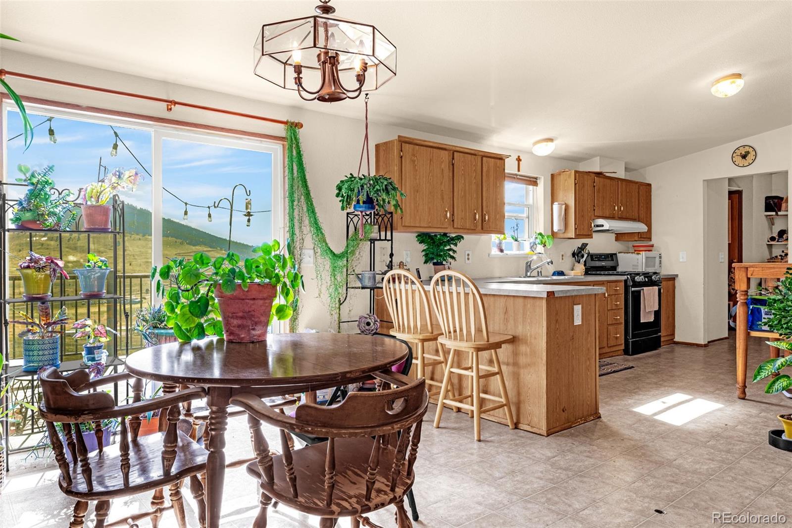 MLS Image #20 for 1528  county road 1 ,cripple creek, Colorado