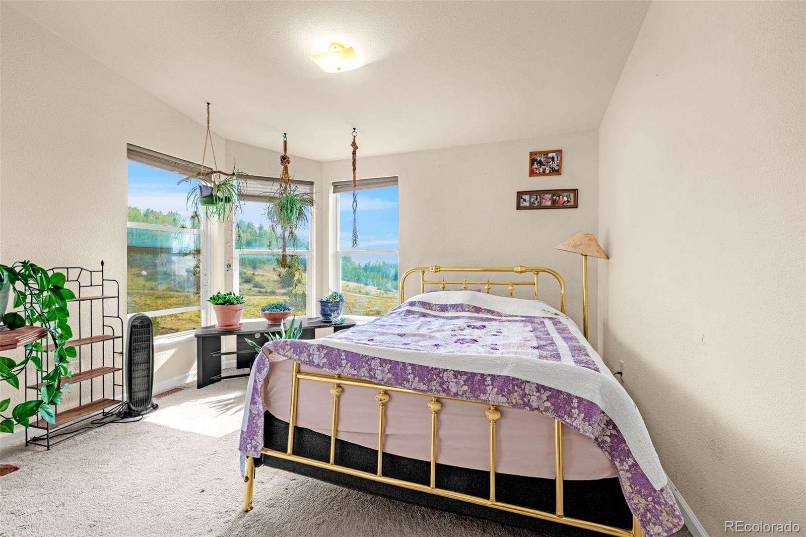 MLS Image #25 for 1528  county road 1 ,cripple creek, Colorado