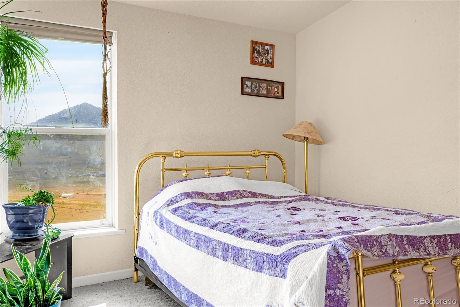 MLS Image #28 for 1528  county road 1 ,cripple creek, Colorado