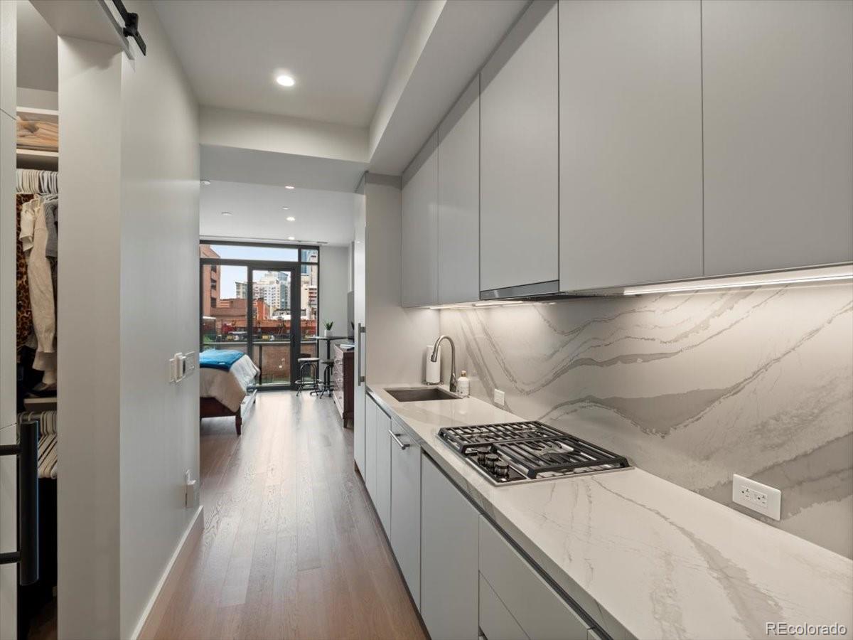 MLS Image #2 for 1901  wazee street 311,denver, Colorado