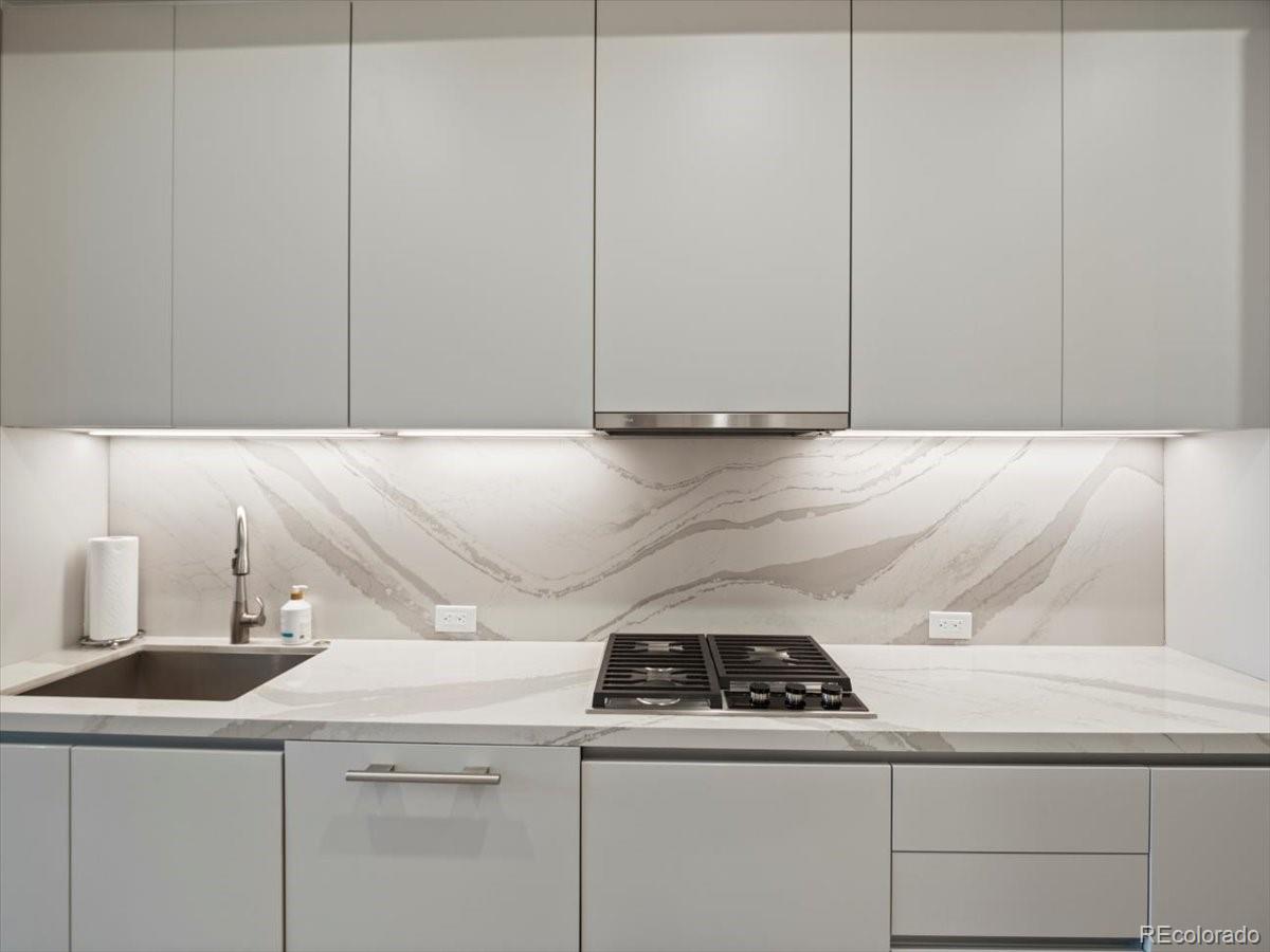MLS Image #3 for 1901  wazee street 311,denver, Colorado