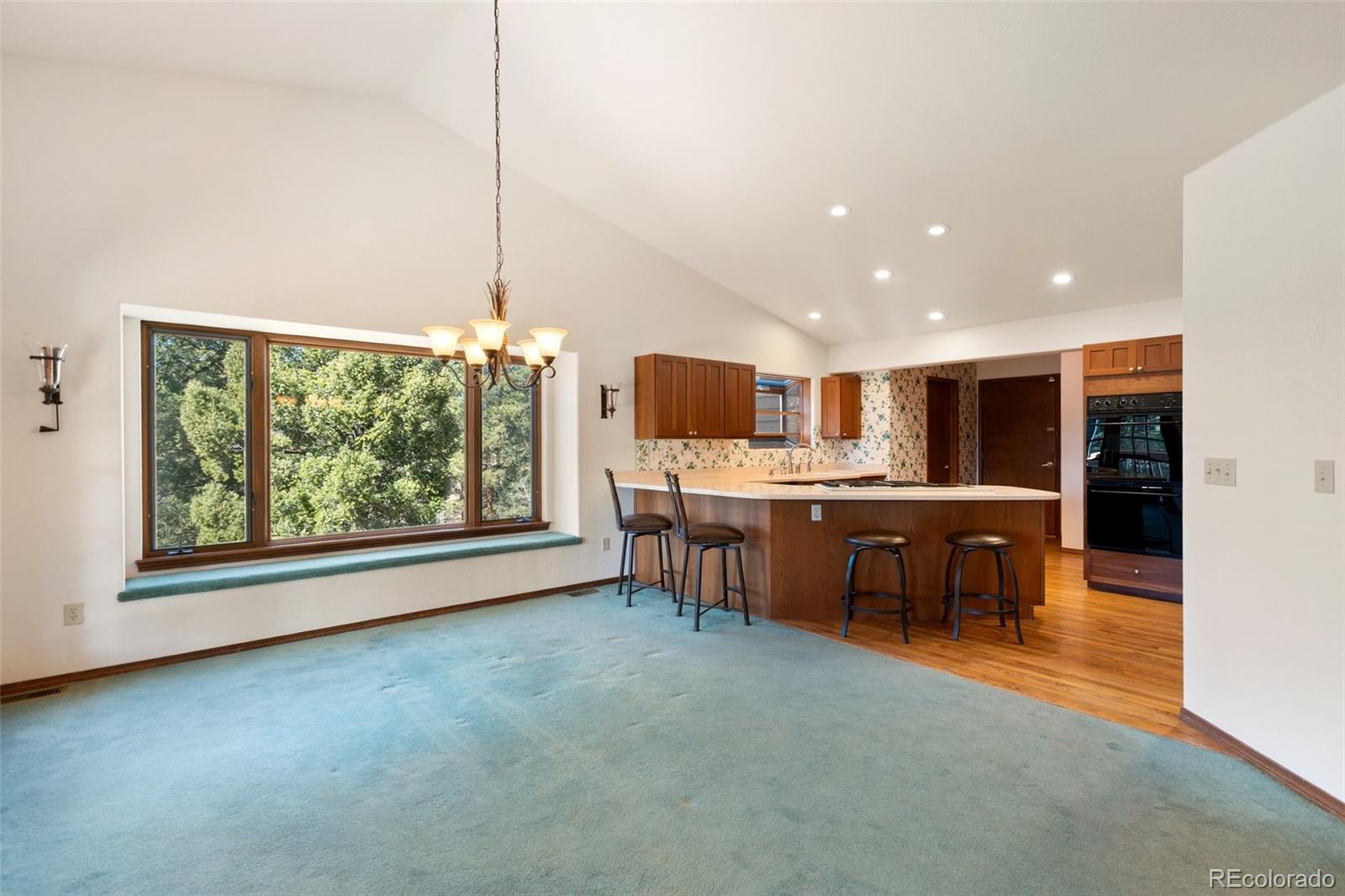 MLS Image #12 for 48  walden lake circle,divide, Colorado