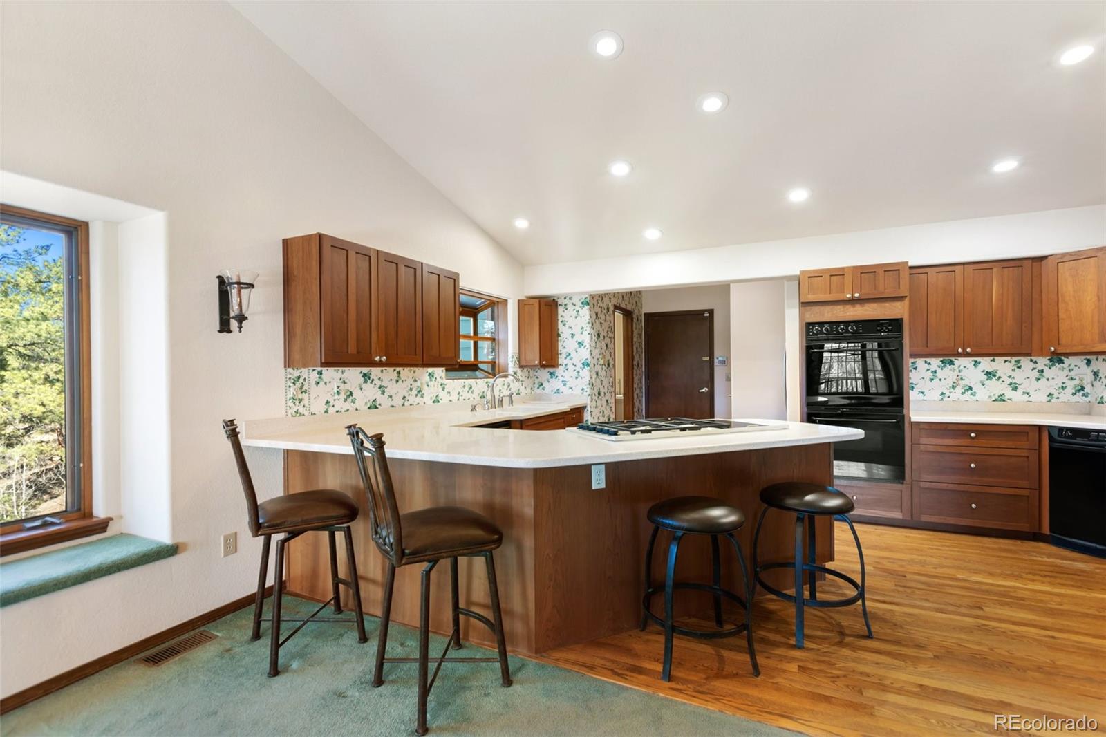 MLS Image #17 for 48  walden lake circle,divide, Colorado
