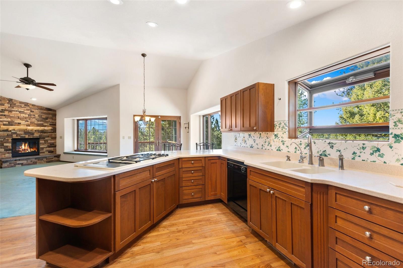 MLS Image #18 for 48  walden lake circle,divide, Colorado