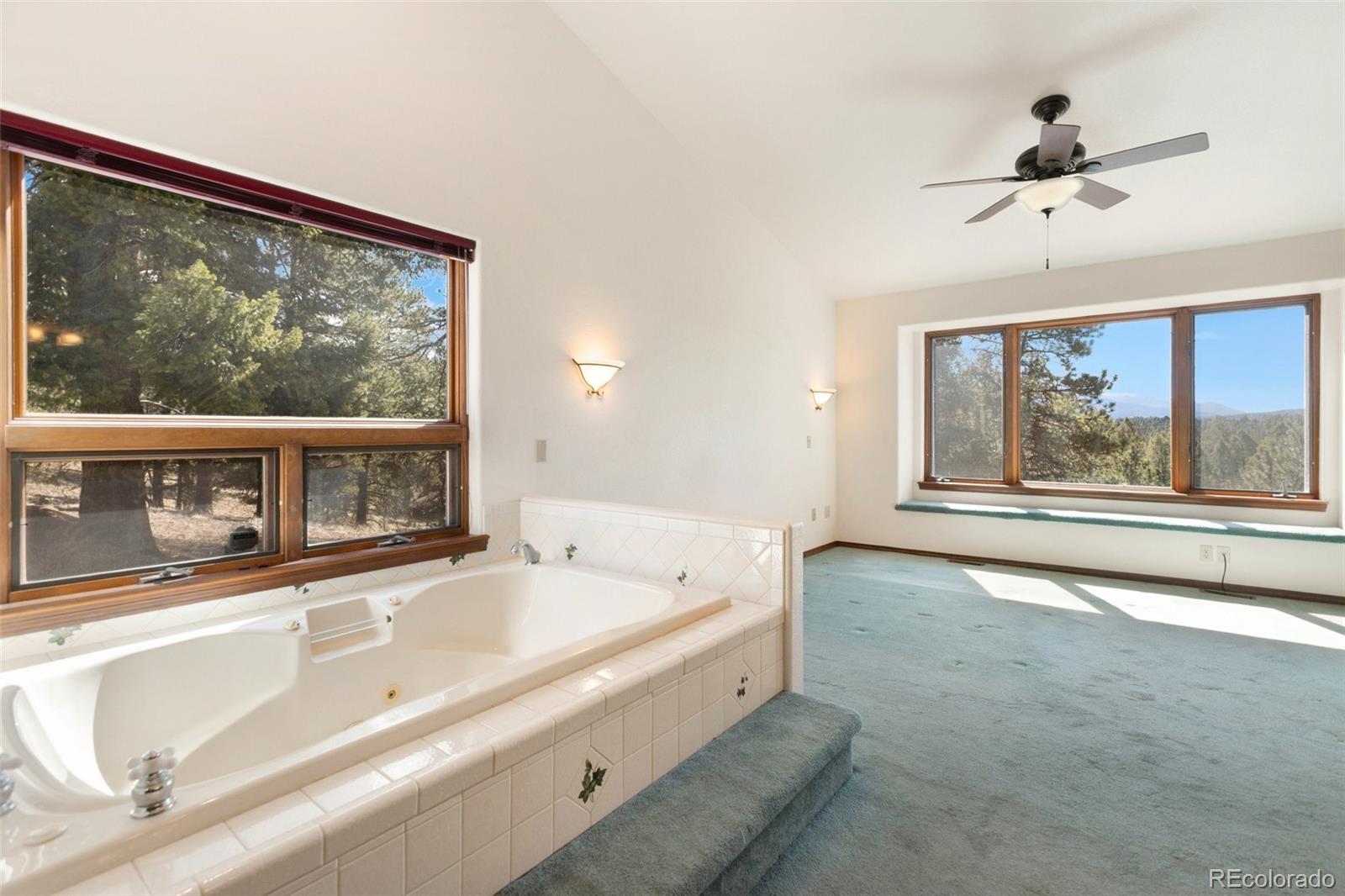 MLS Image #29 for 48  walden lake circle,divide, Colorado