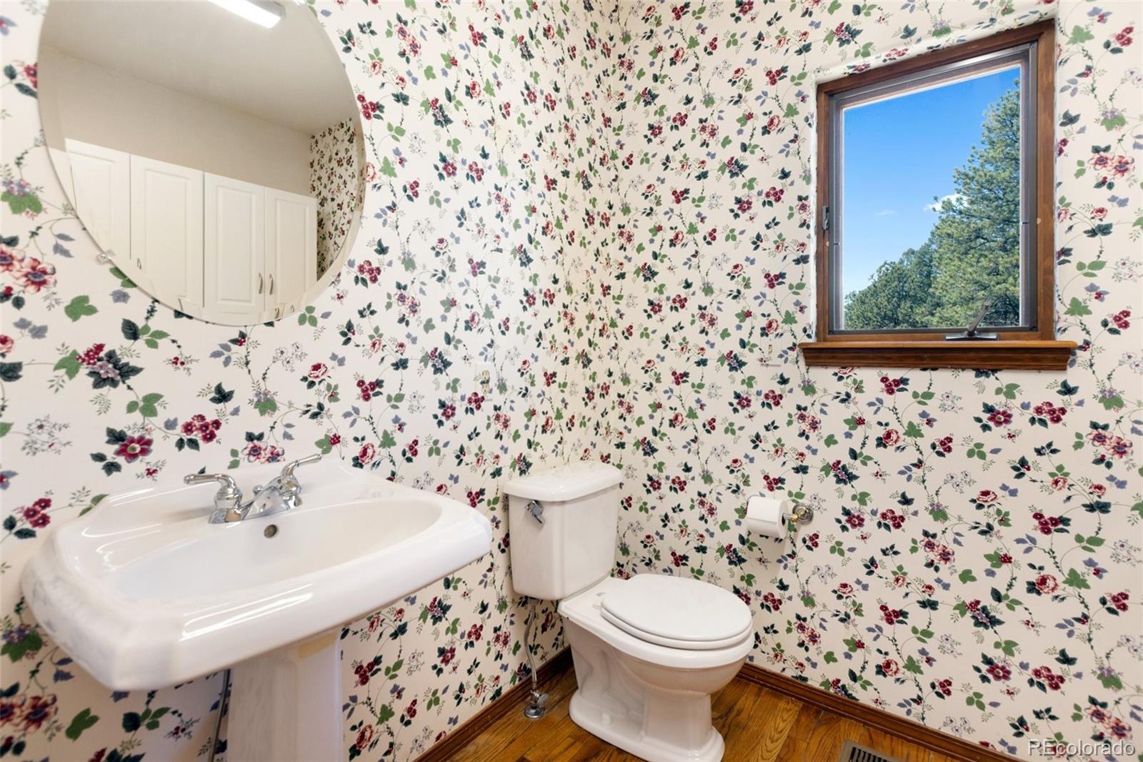 MLS Image #33 for 48  walden lake circle,divide, Colorado