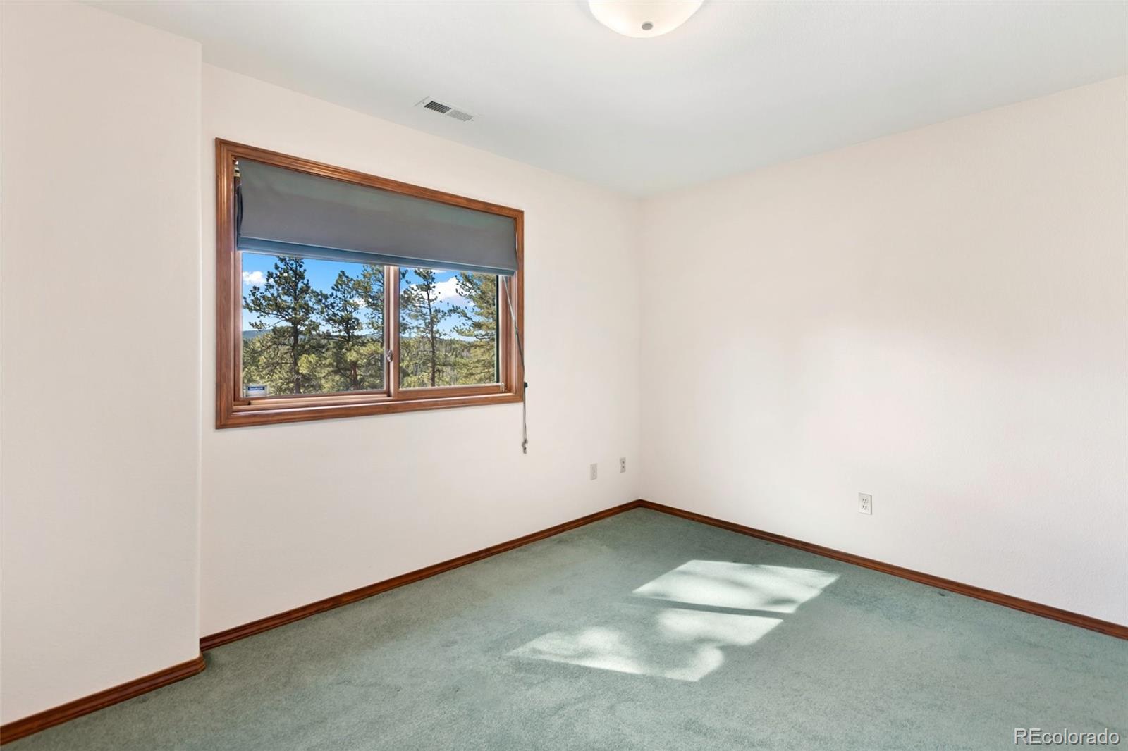 MLS Image #39 for 48  walden lake circle,divide, Colorado