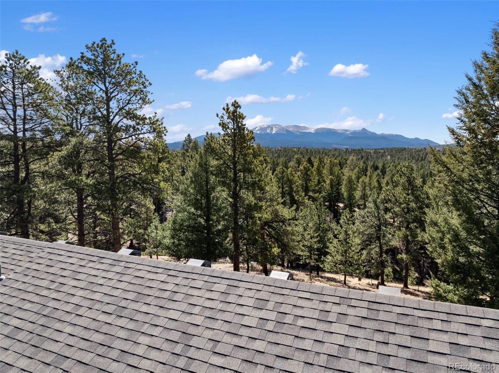 MLS Image #47 for 48  walden lake circle,divide, Colorado