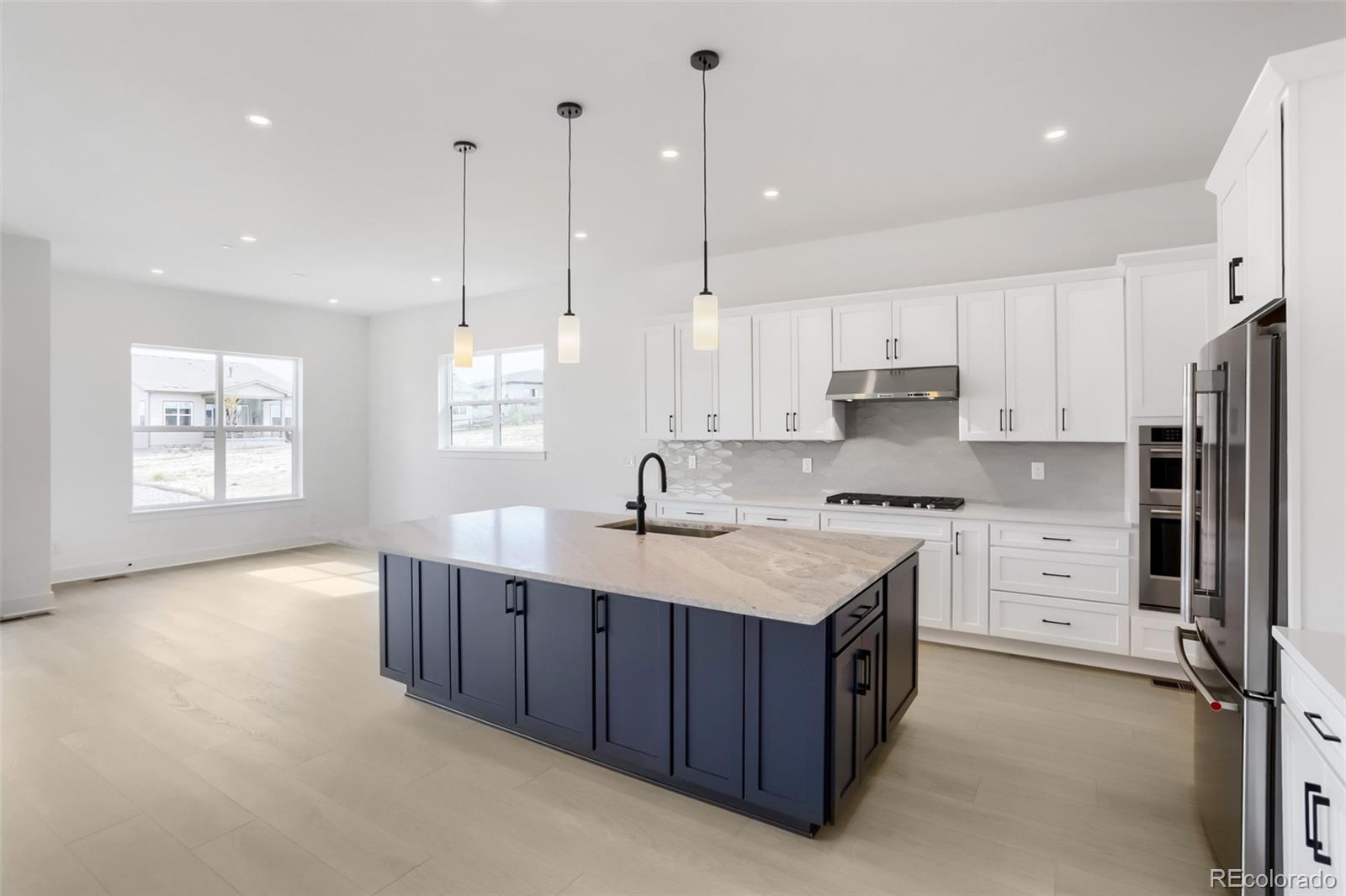 MLS Image #5 for 430  leafy aster lane,castle rock, Colorado