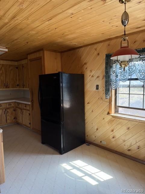 MLS Image #4 for 714  commanche peak road,south fork, Colorado