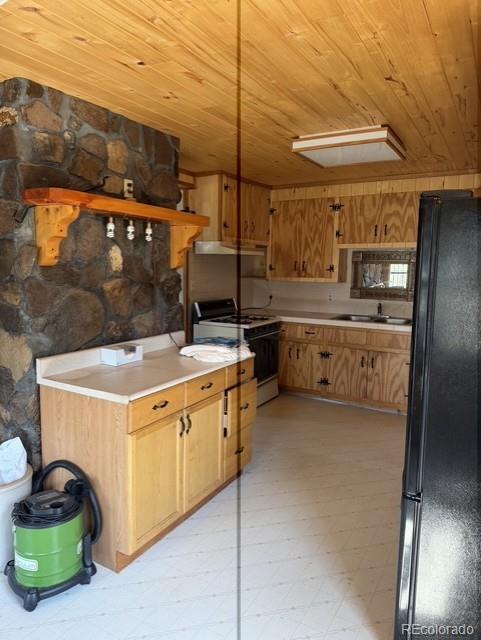 MLS Image #5 for 714  commanche peak road,south fork, Colorado