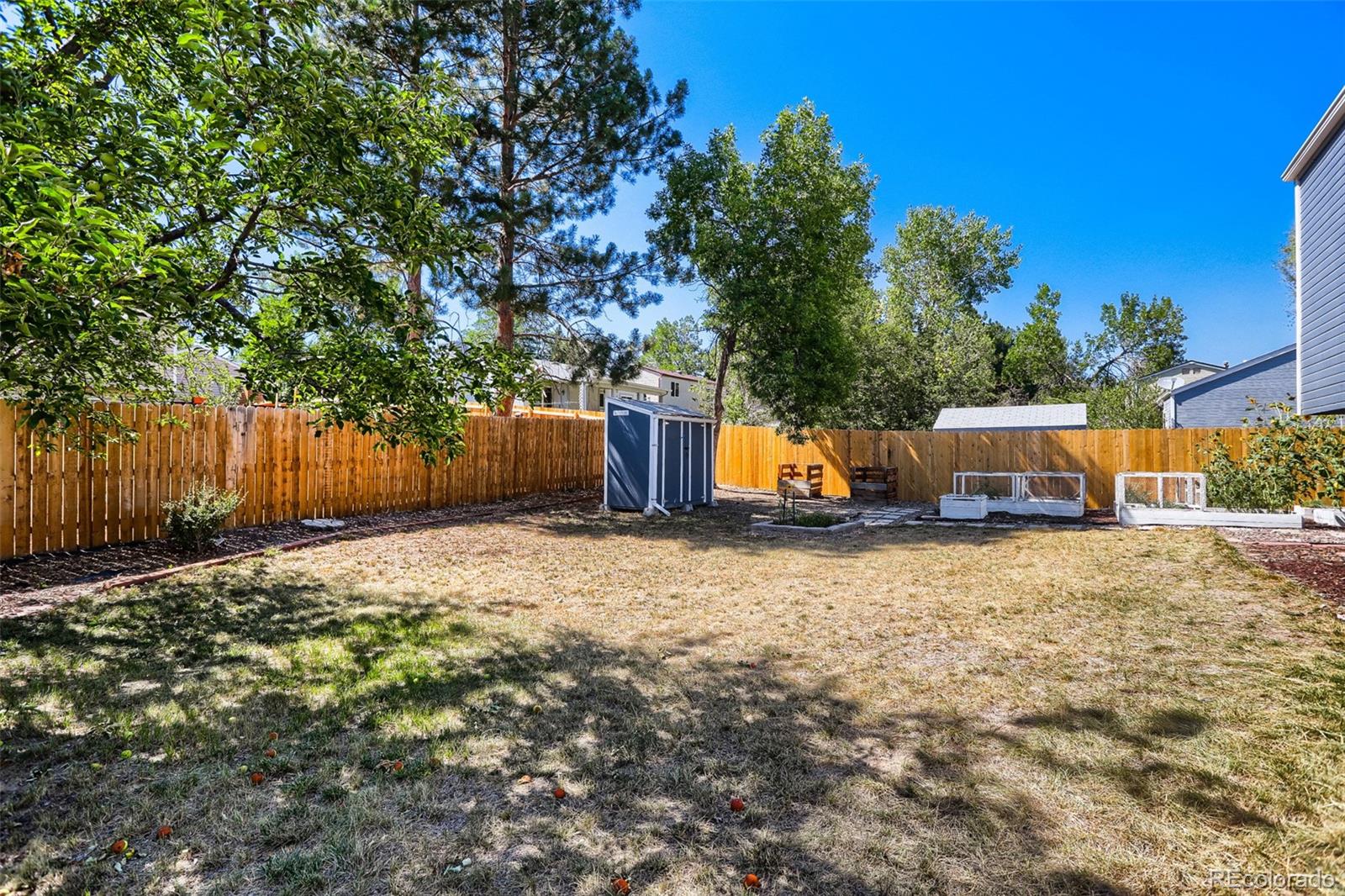 MLS Image #29 for 11553  ingalls street,broomfield, Colorado