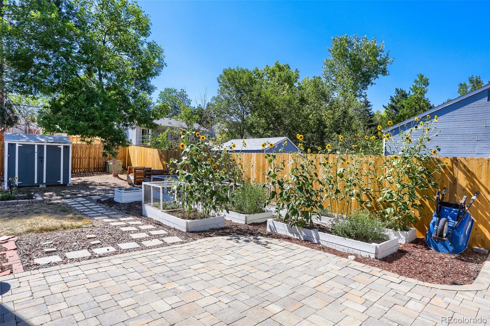 MLS Image #8 for 11553  ingalls street,broomfield, Colorado