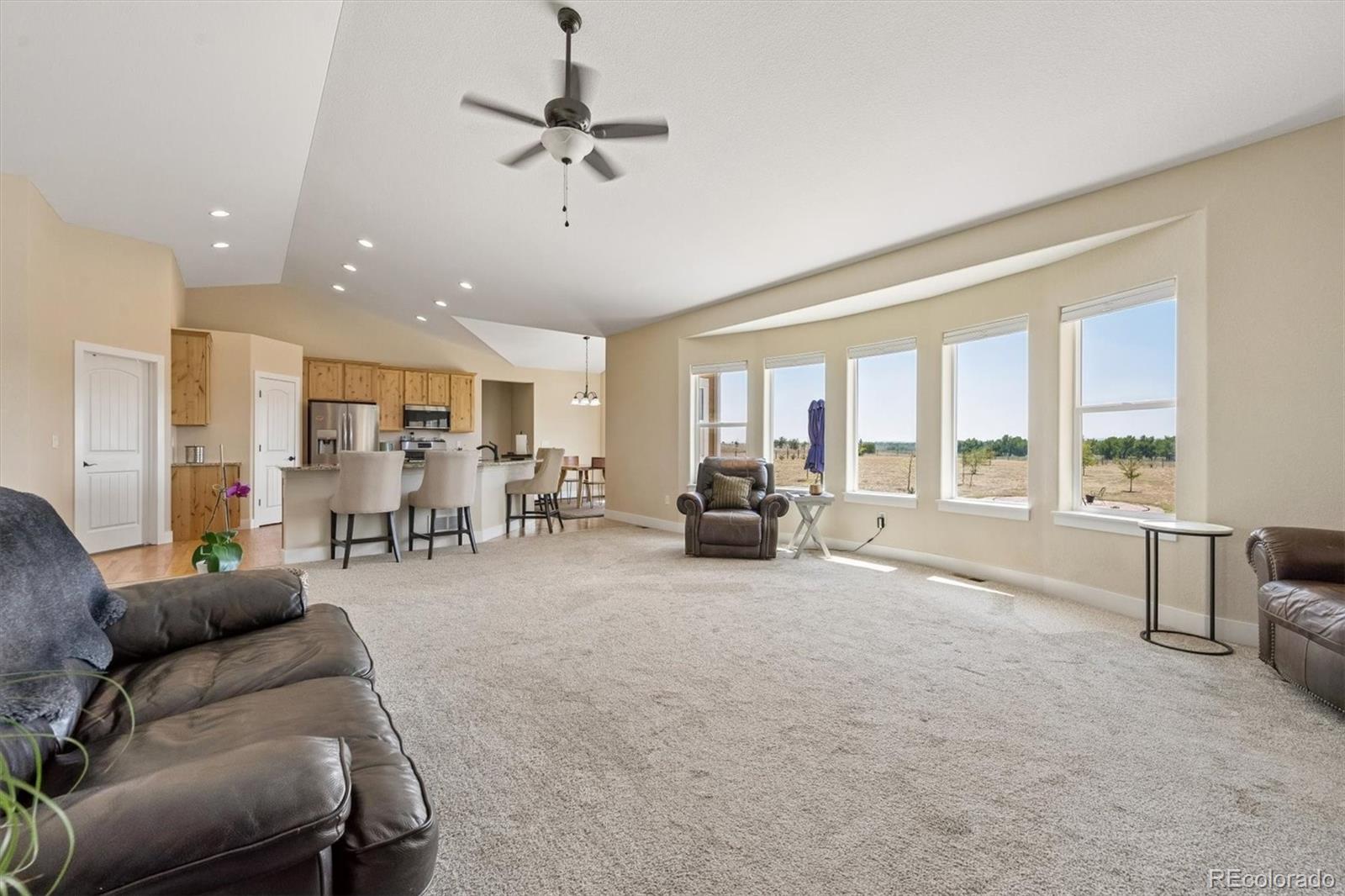 MLS Image #10 for 156 w 8th avenue,byers, Colorado