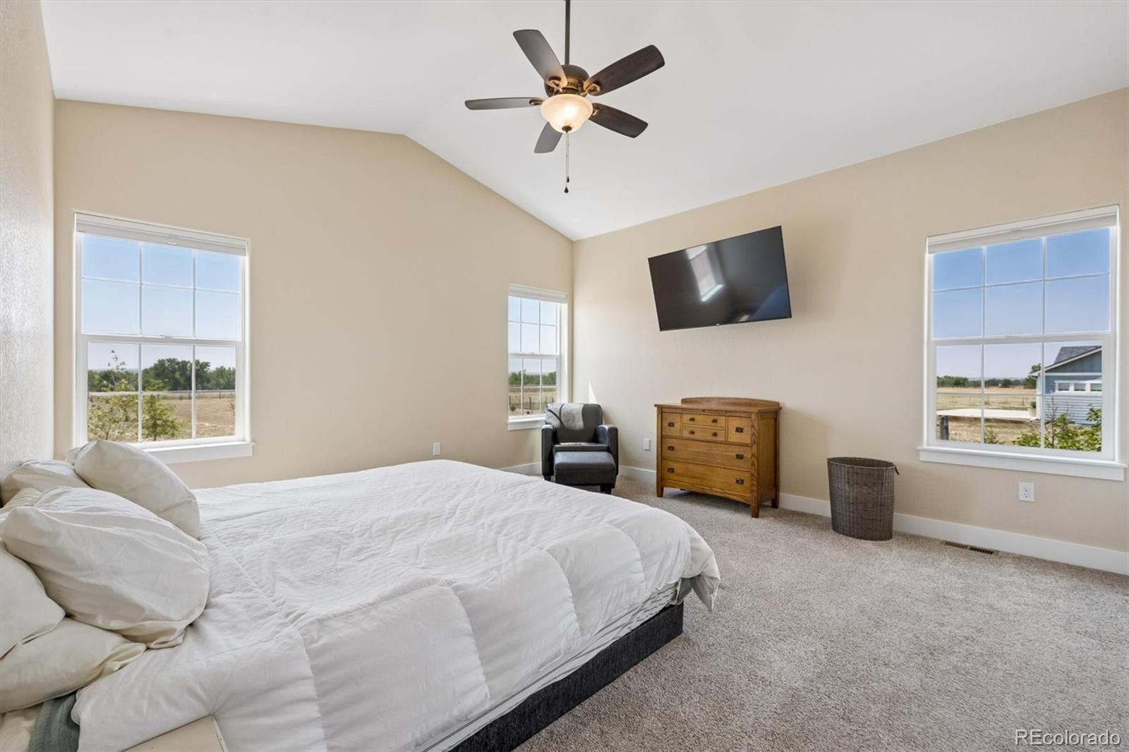 MLS Image #15 for 156 w 8th avenue,byers, Colorado