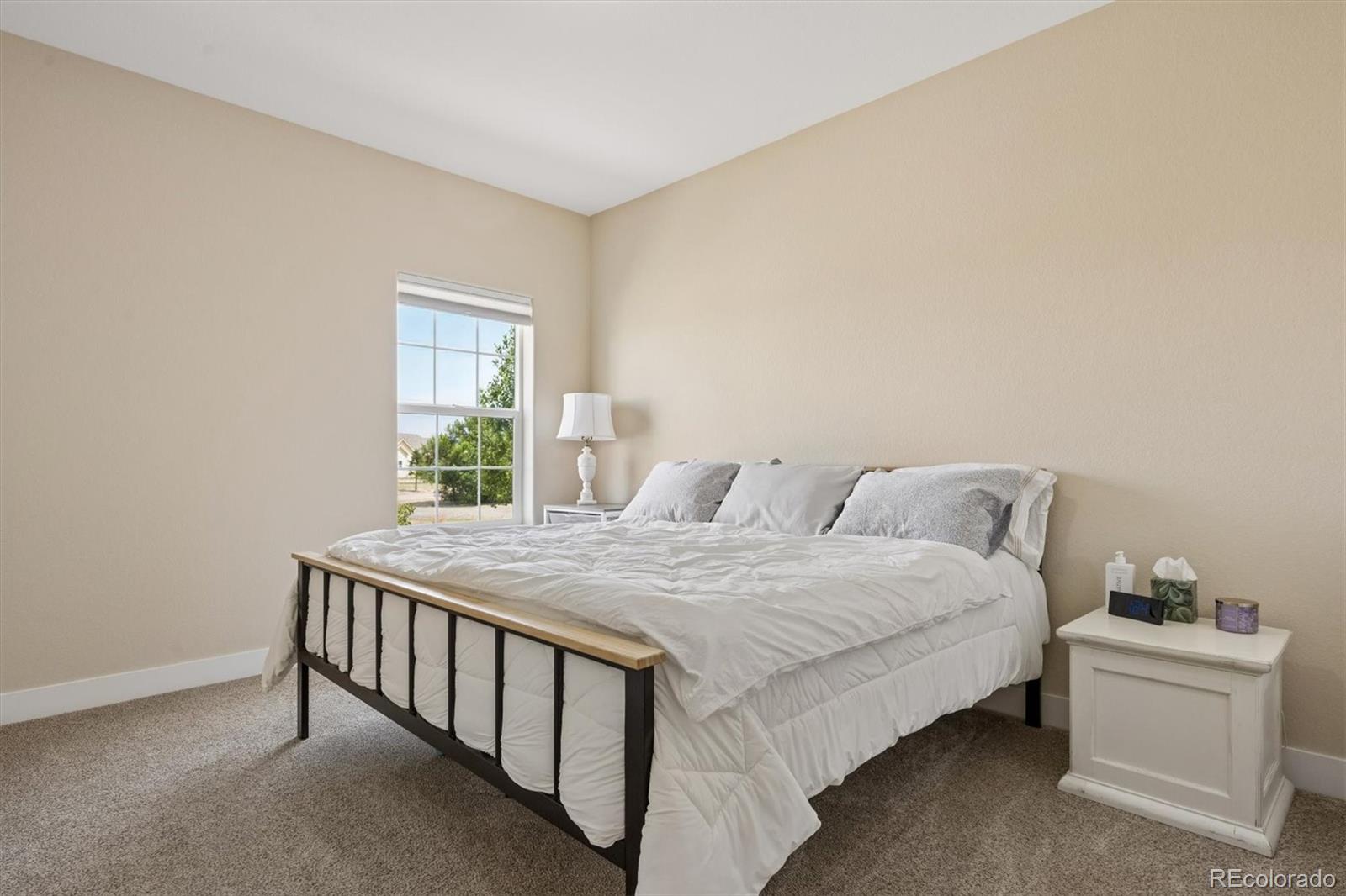 MLS Image #21 for 156 w 8th avenue,byers, Colorado