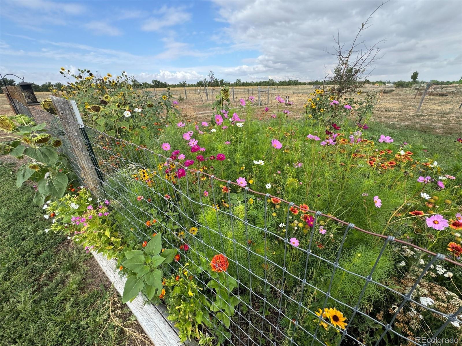 MLS Image #42 for 156 w 8th avenue,byers, Colorado