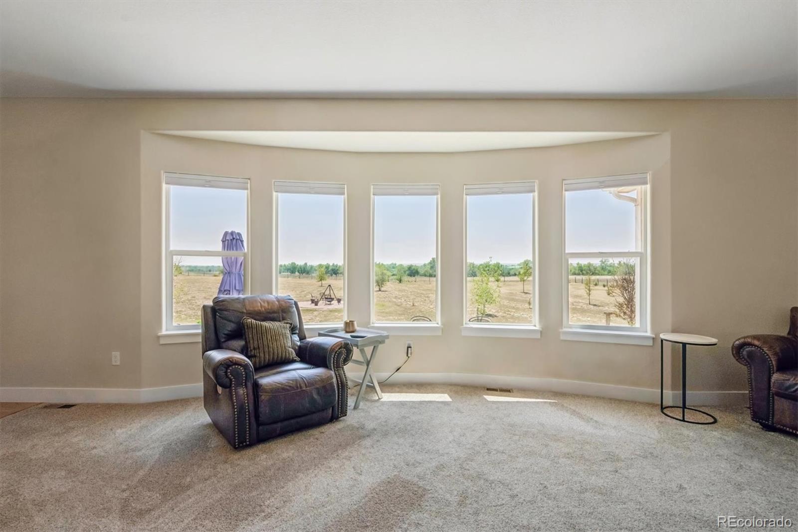 MLS Image #5 for 156 w 8th avenue,byers, Colorado