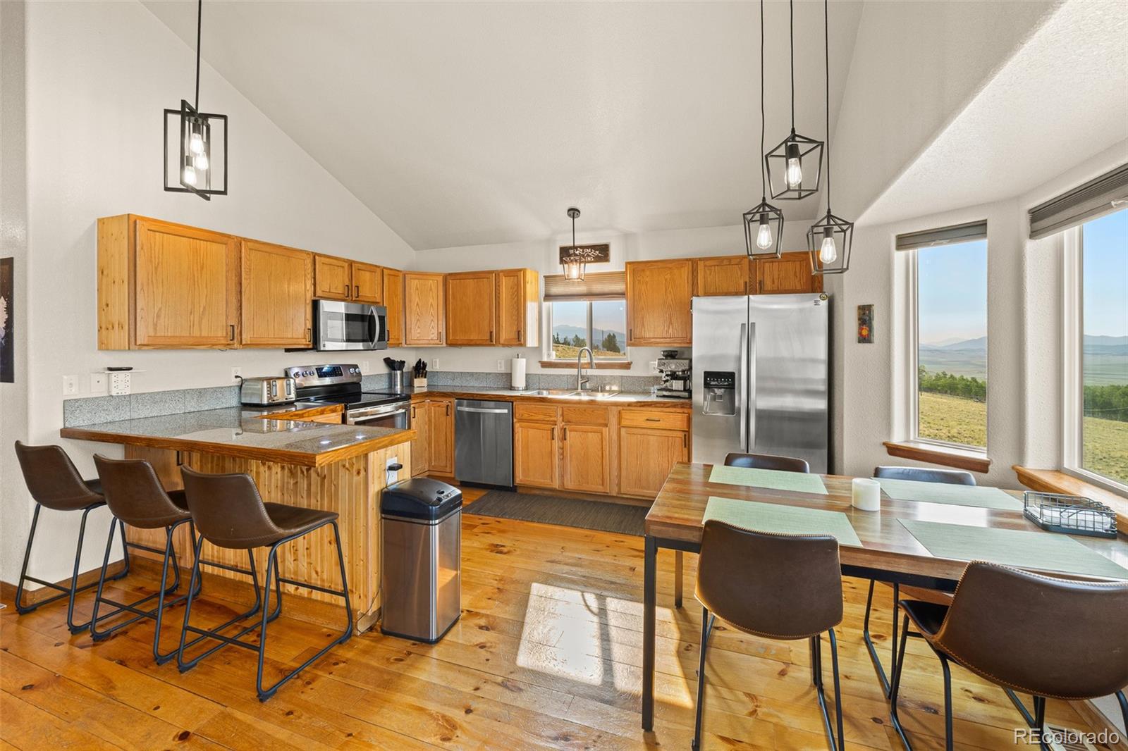 MLS Image #4 for 1459  boreas circle,jefferson, Colorado
