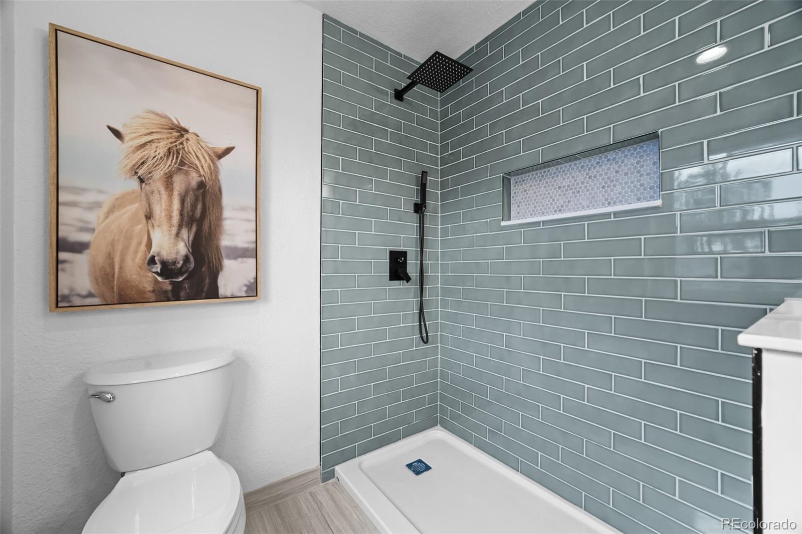MLS Image #15 for 1231  nova road,pine, Colorado