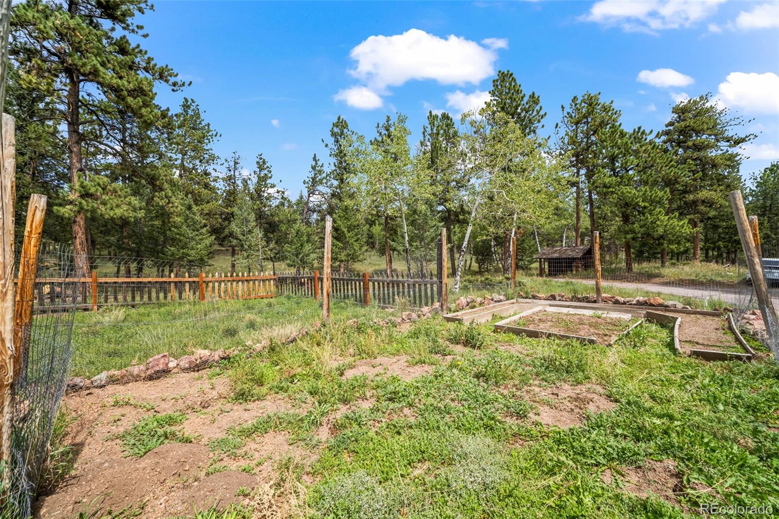 MLS Image #43 for 1231  nova road,pine, Colorado