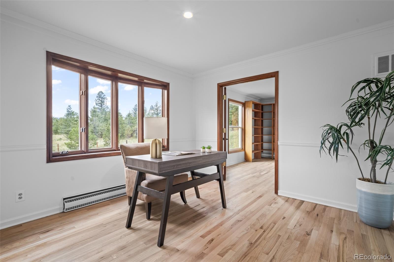 MLS Image #9 for 1231  nova road,pine, Colorado