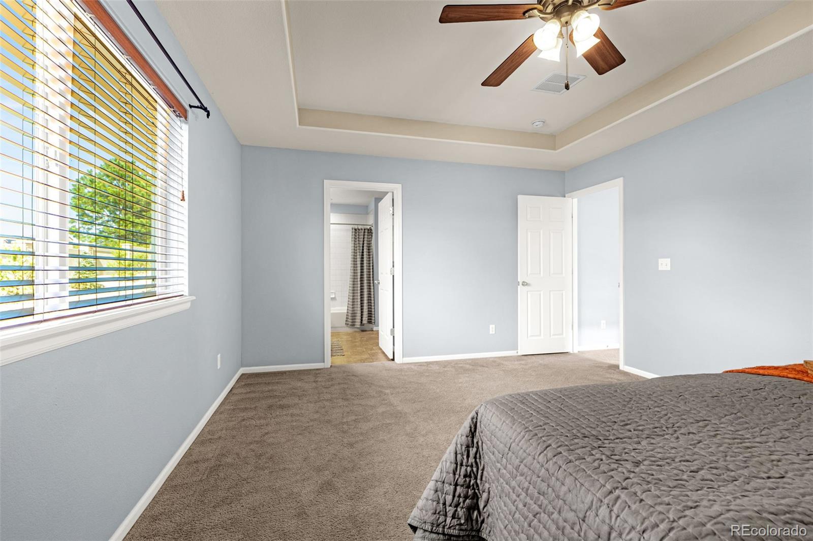 MLS Image #20 for 1425  diamond rim drive,colorado springs, Colorado
